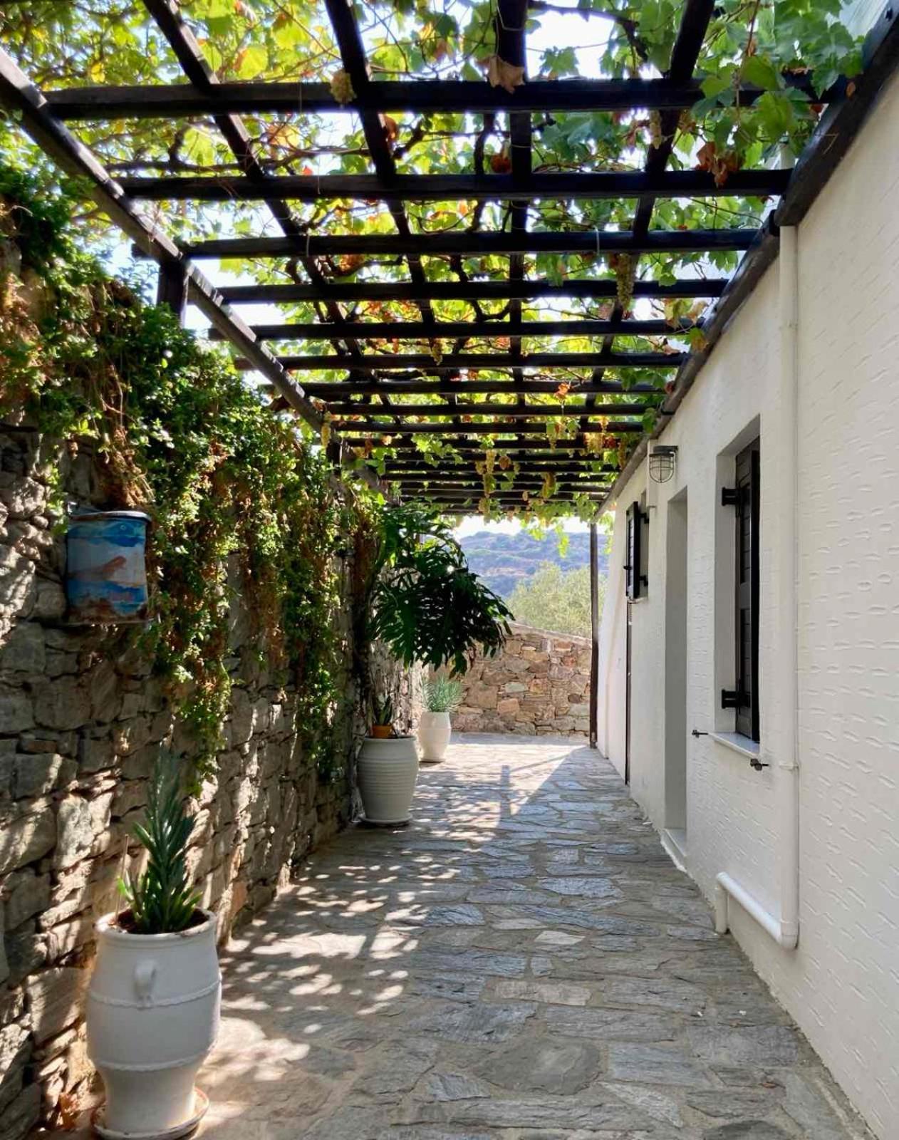 Syrou Lotos Studios & Apartments (Adults Only) Kini Rum bild