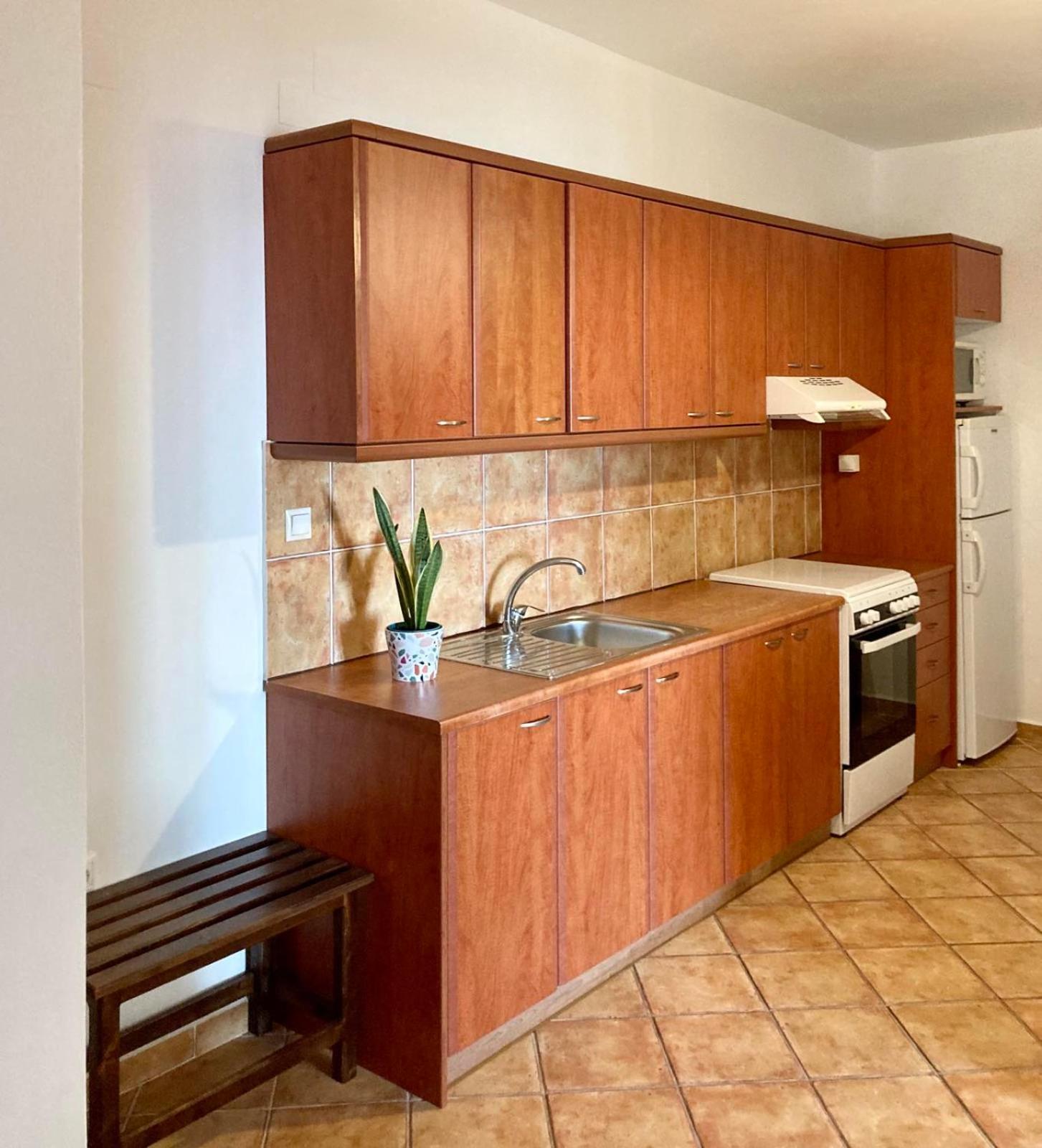 Syrou Lotos Studios & Apartments (Adults Only) Kini Rum bild